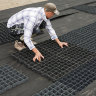 Газонная решётка. Экопарковка. Green Parking.  333х333х30 мм